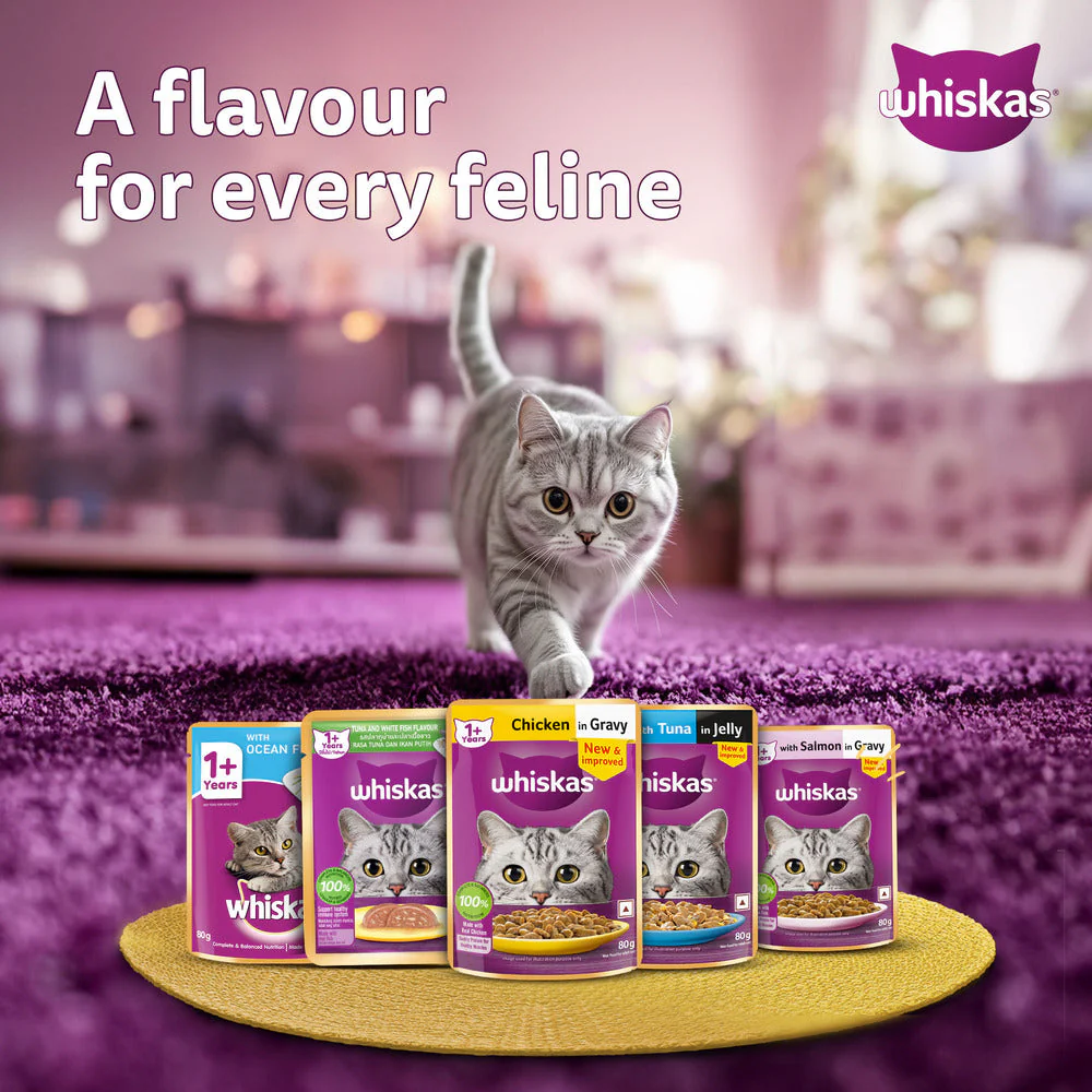 Whiskas Tuna in Jelly Meal Adult Cat Wet Food - Image 12