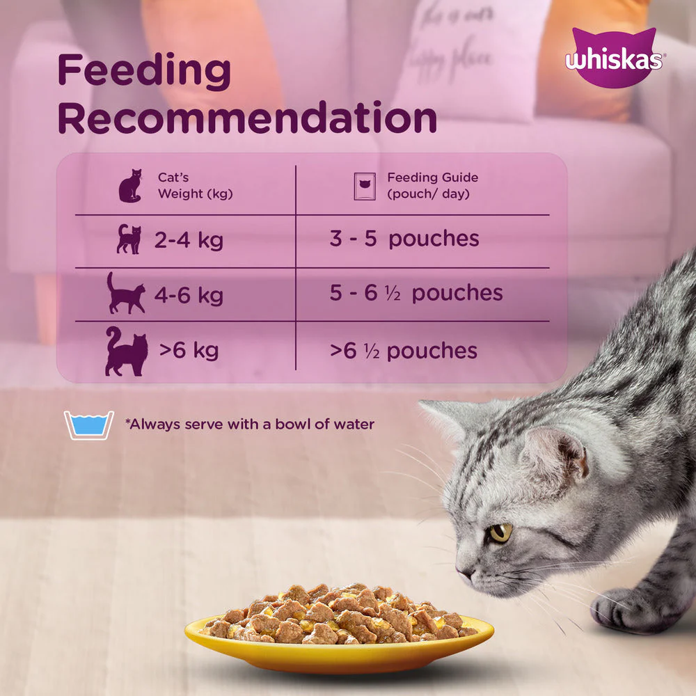 Whiskas Tuna in Jelly Meal and Chicken With Salmon Wakame Seaweed in Gravy Tasty Mix Adult Cat Wet Food Combo - Image 16