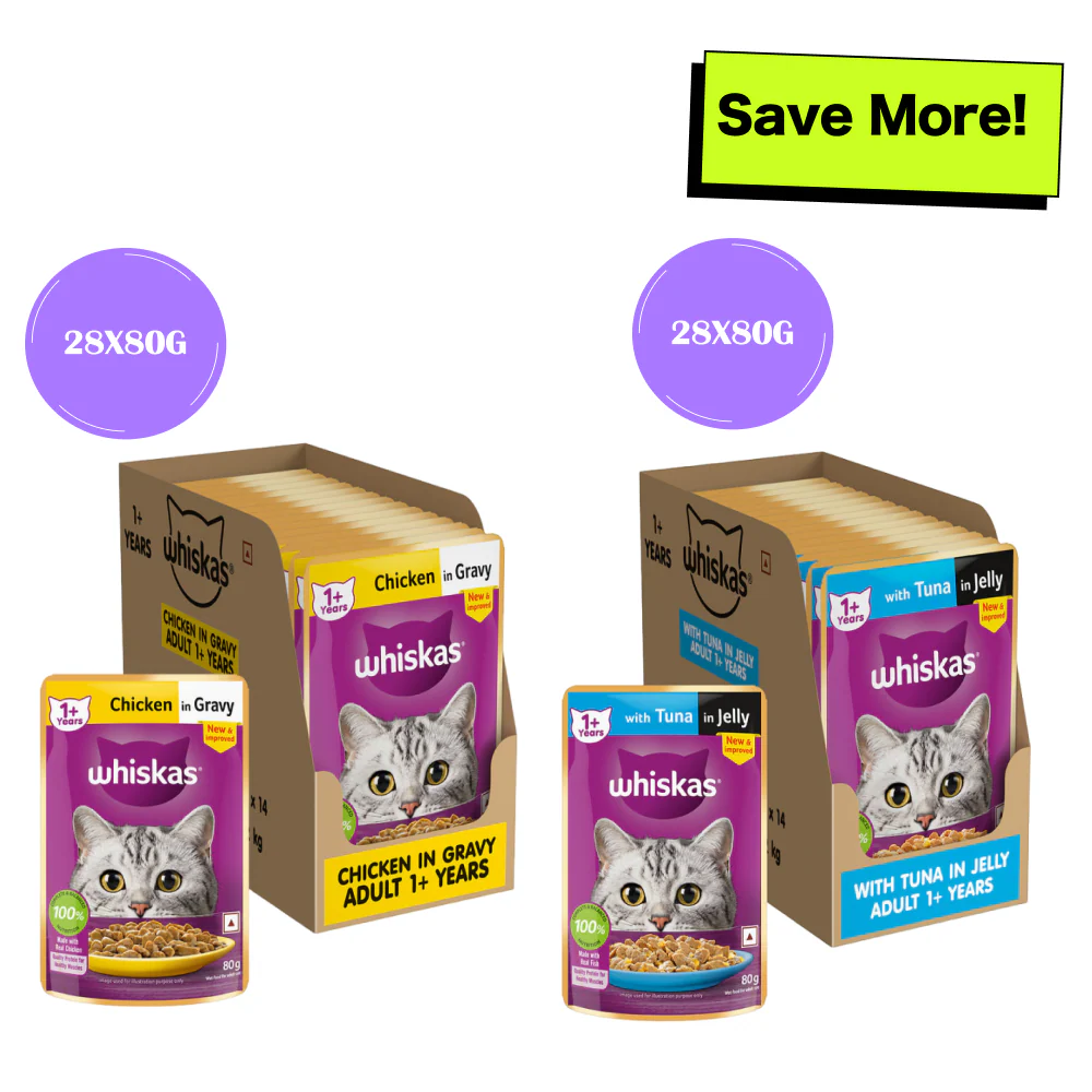 Whiskas Tuna in Jelly Meal and Chicken Gravy Adult Cat Wet Food Combo - Image 13