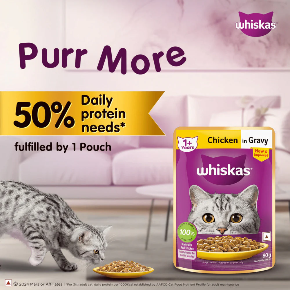 Whiskas Tuna in Jelly Meal and Chicken Gravy Adult Cat Wet Food Combo - Image 6