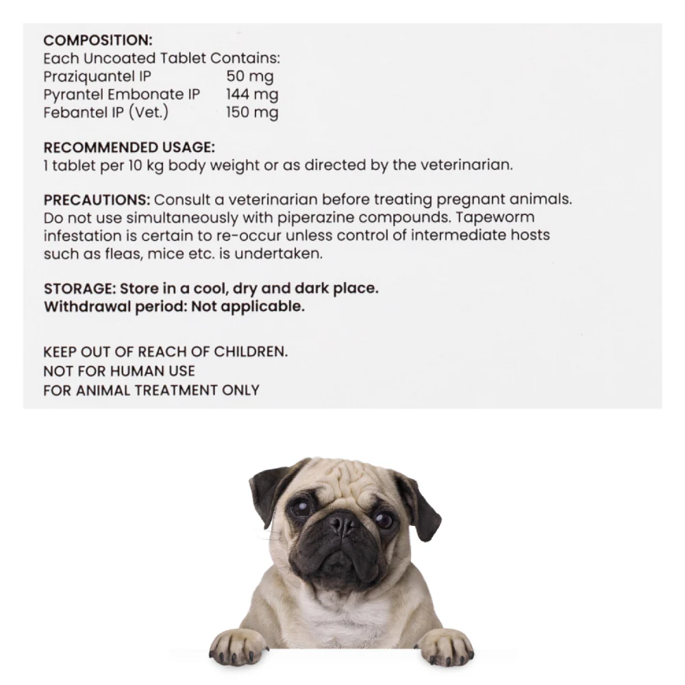 Wiggles Deworminator Deworming Tablets for Dogs and Cats - Image 2