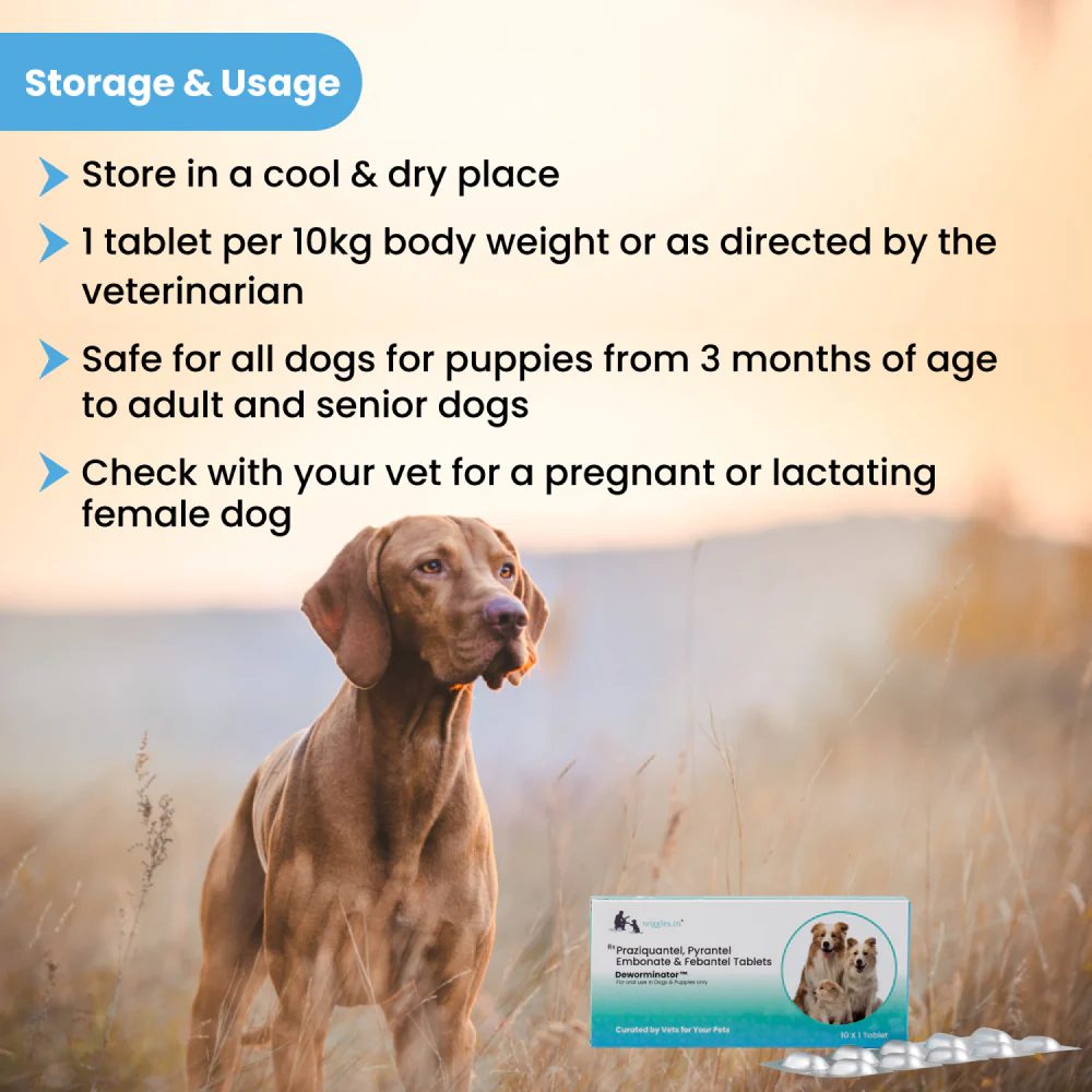 Wiggles Deworminator Deworming Tablets for Dogs and Cats - Image 4