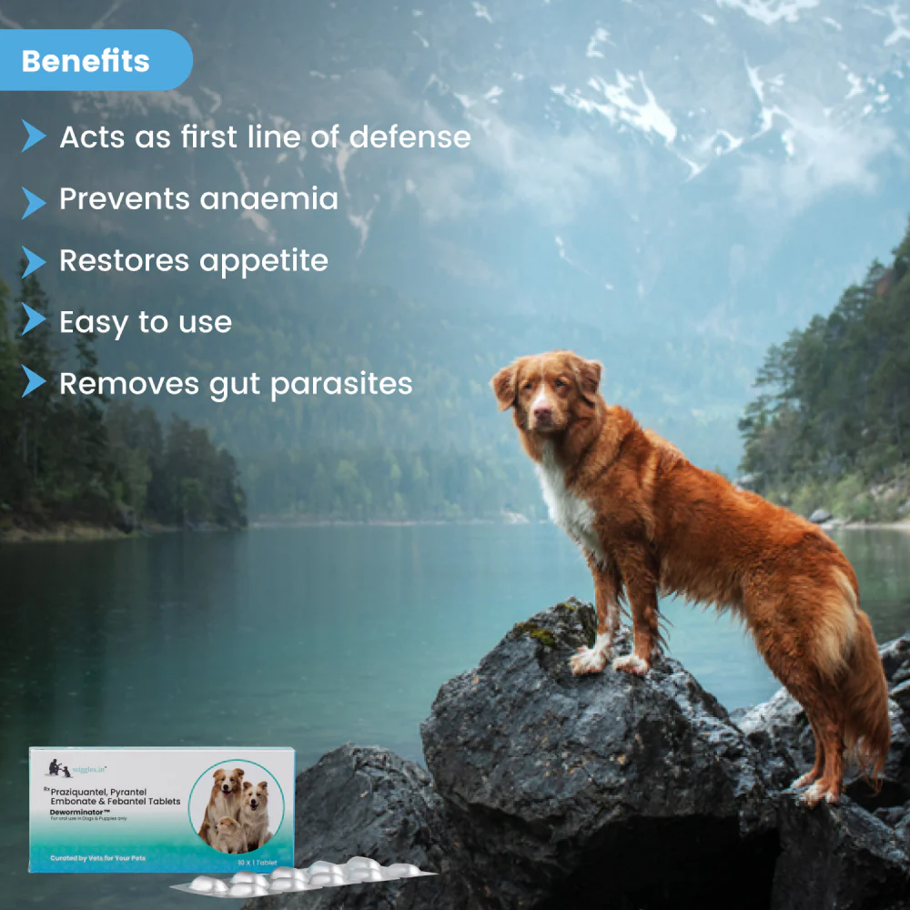 Wiggles Deworminator Deworming Tablets for Dogs and Cats - Image 5