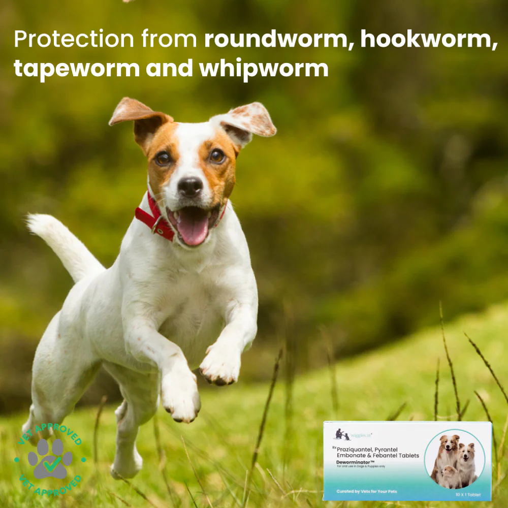 Wiggles Deworminator Deworming Tablets for Dogs and Cats - Image 6