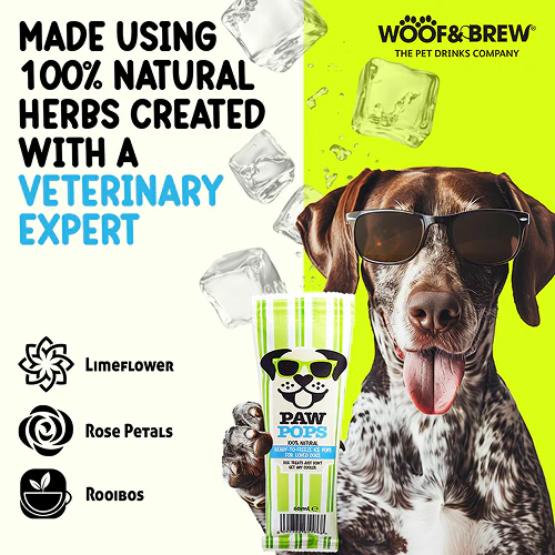 Woof & Brew Ice Paw Pops Dog Treat - Image 4