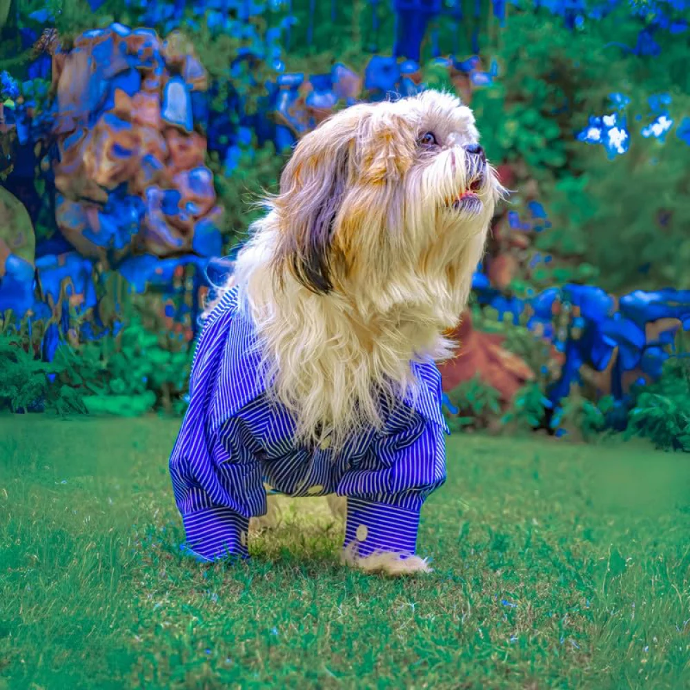 Woofiezz Nautical Party Shirt for Dogs and Cats (Blue) - Image 4