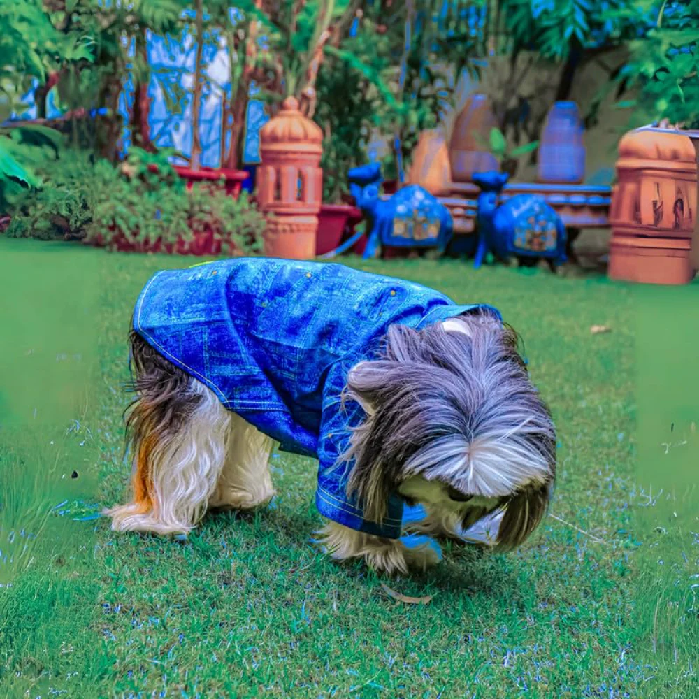 Woofiezz Denim Dapper Shirt for Dogs and Cats (Blue) - Image 4