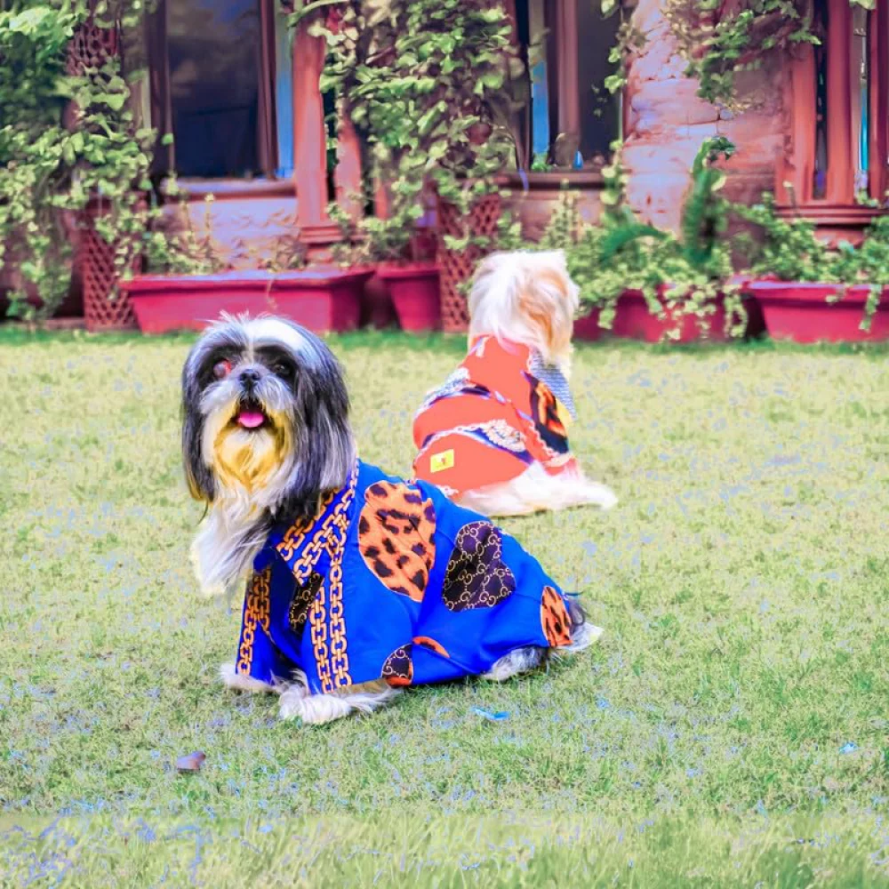 Woofiezz Statement Shirt for Dogs and Cats (Blue Gold) - Image 4
