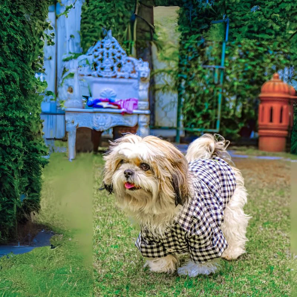 Woofiezz Monochrome Check Classic Shirt for Dogs and Cats (Black/White) - Image 4