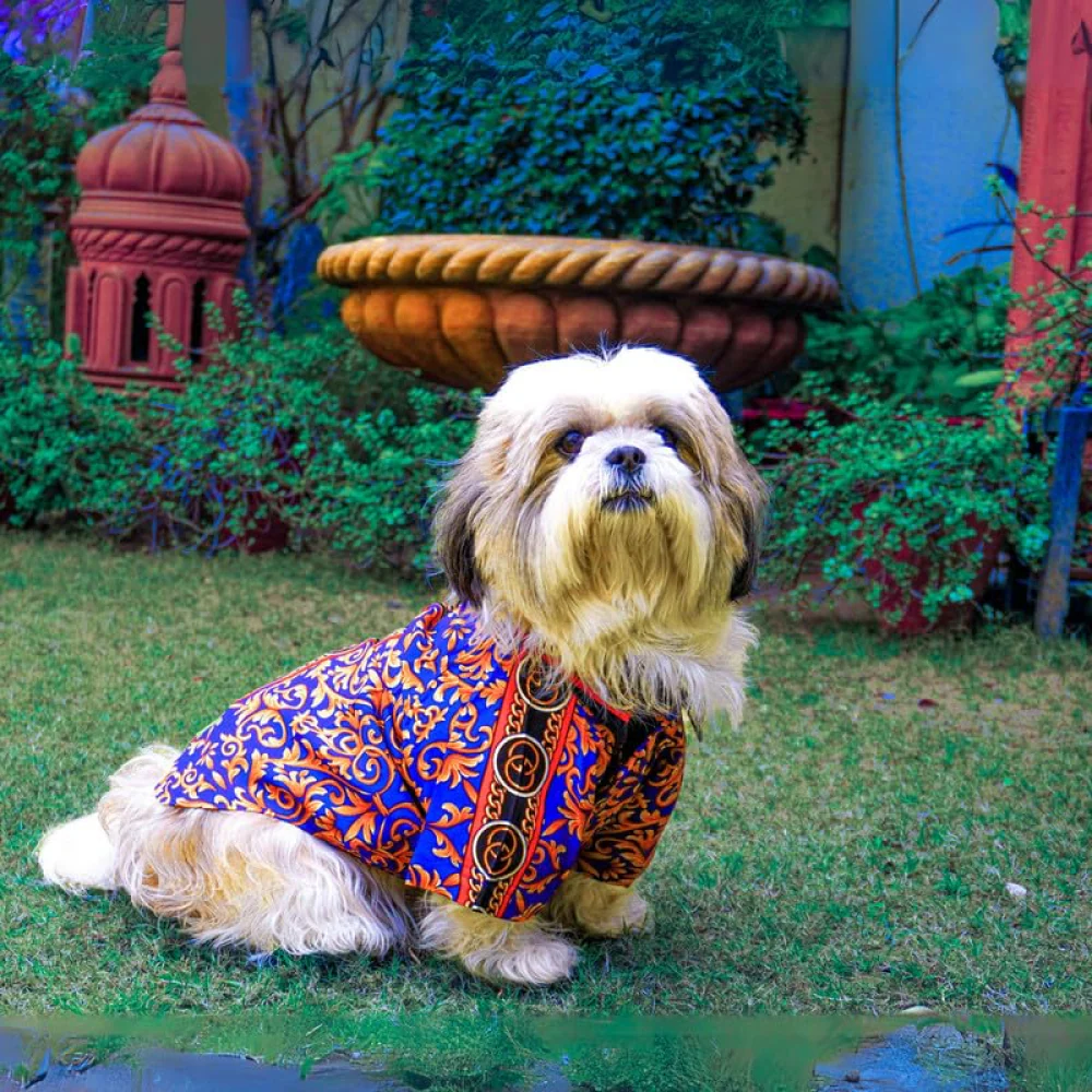 Woofiezz Statement Shirt for Dogs and Cats (Purple Gold) - Image 4