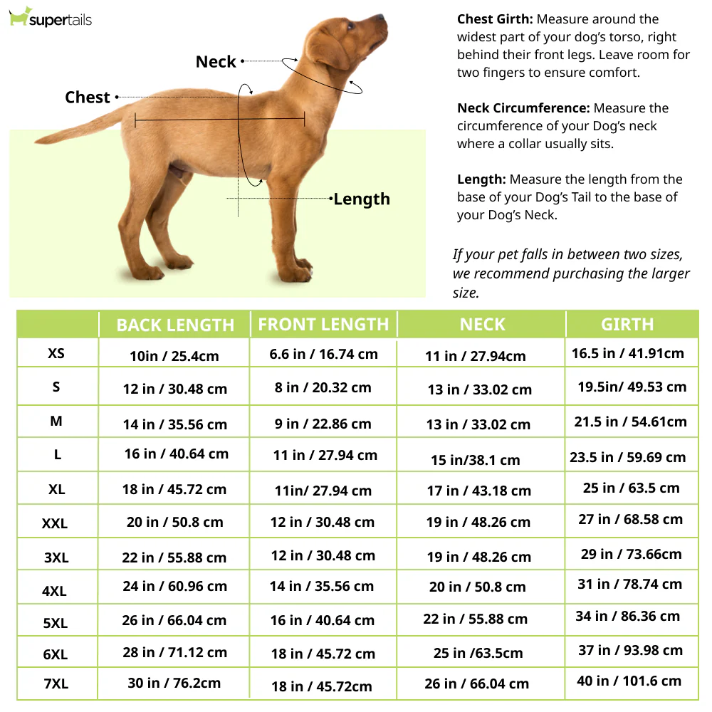 Woofiezz Warm & Comfortable Stylish Jackets for Dogs and Cats (Blue) - Image 2