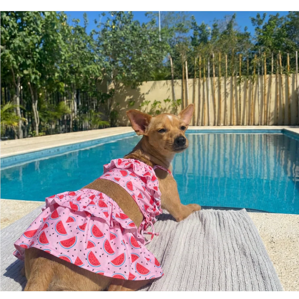 Pet Bigginis For Dogs (Pink/Red) - Image 3