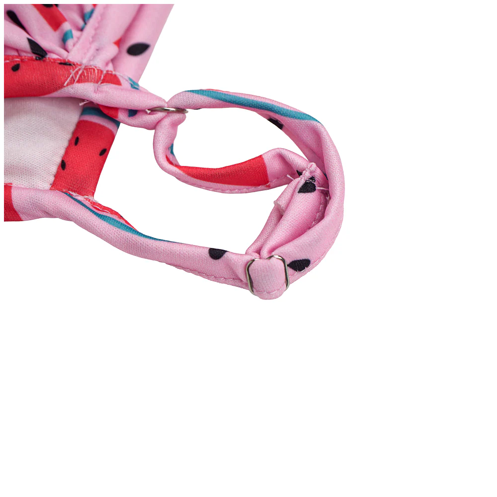 Pet Bigginis For Dogs (Pink/Red) - Image 8