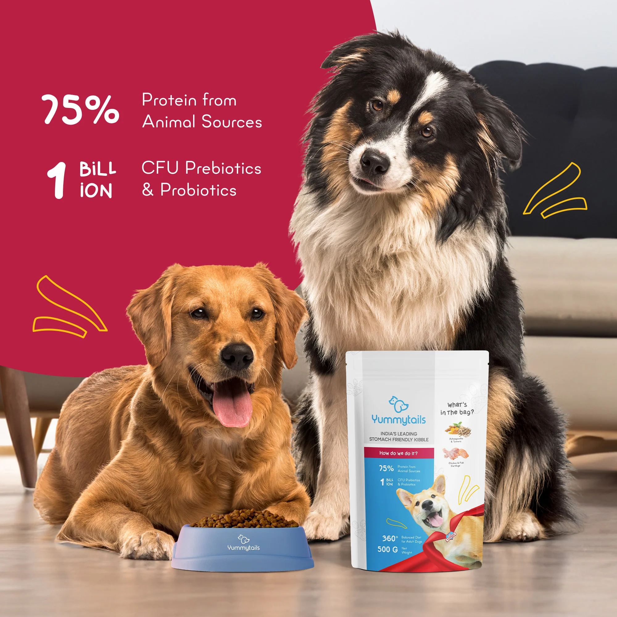 Yummytails Chicken and Fish Premium Adult Medium and Large Dog Dry Food - Image 16