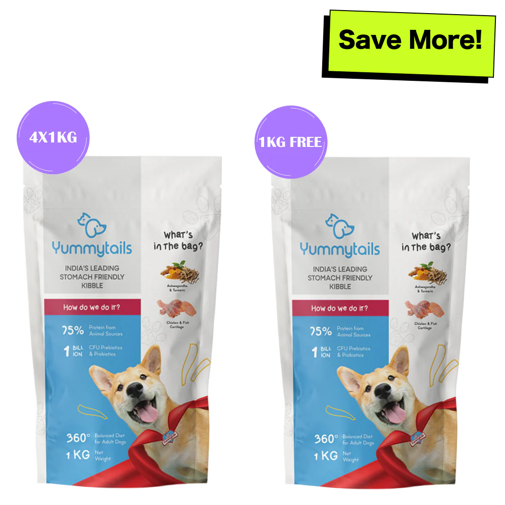 Yummytails Chicken and Fish Premium Adult Medium and Large Dog Dry Food - Image 19