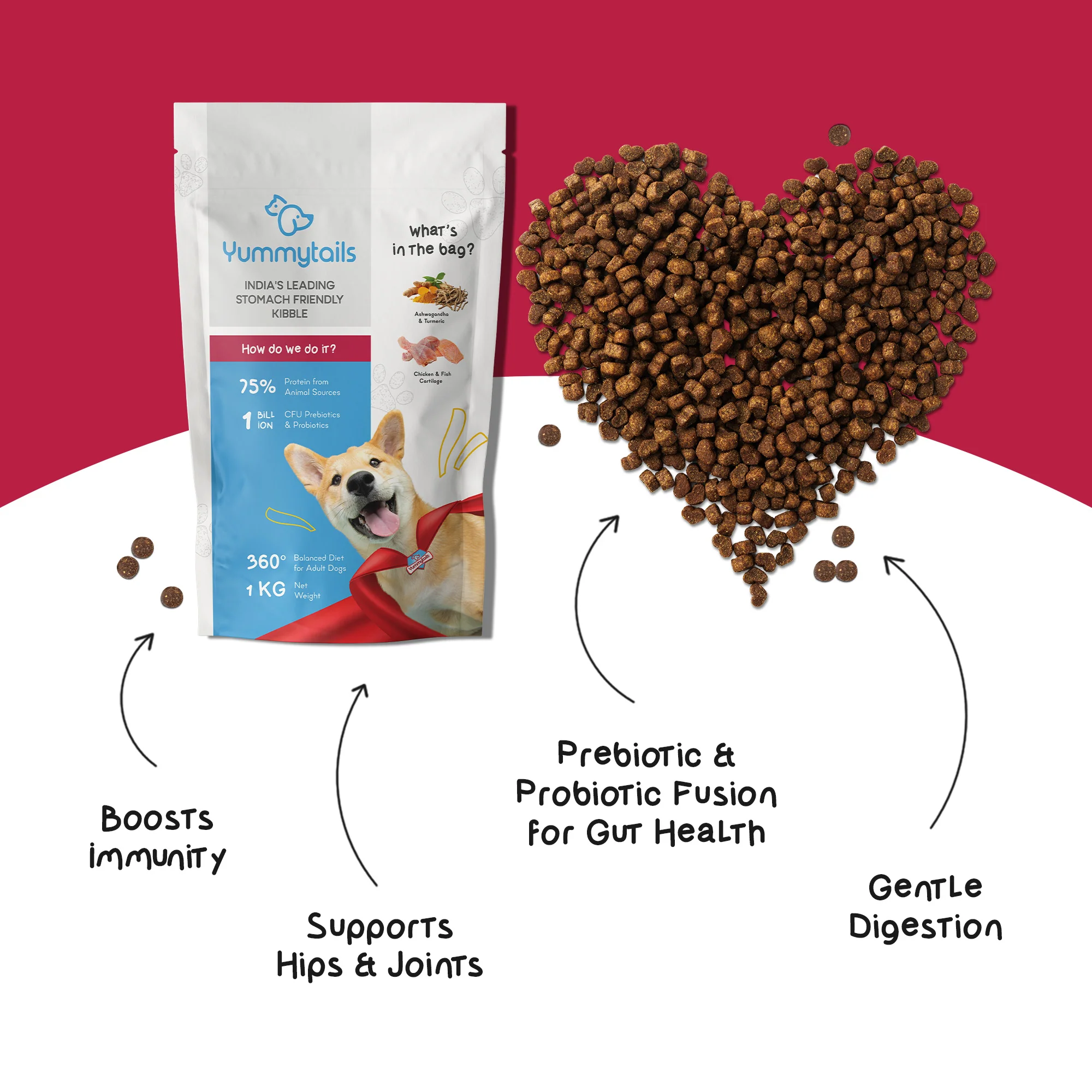 Yummytails Chicken and Fish Premium Adult Medium and Large Dog Dry Food - Image 8