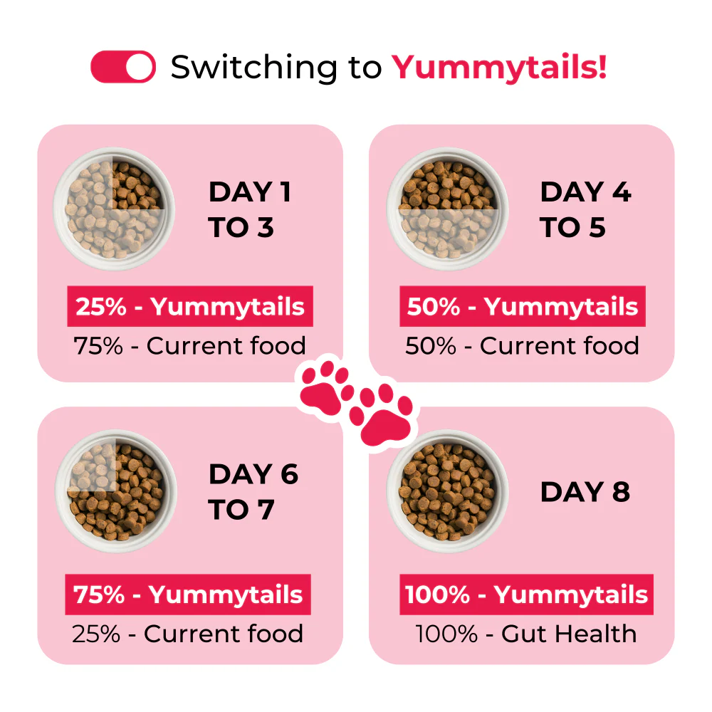 Yummytails Chicken and Fish Premium Adult Medium and Large Dog Dry Food - Image 4