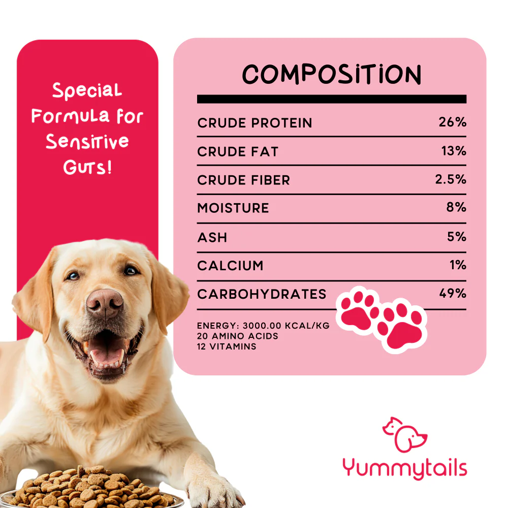 Yummytails Chicken and Fish Premium Adult Medium and Large Dog Dry Food - Image 5