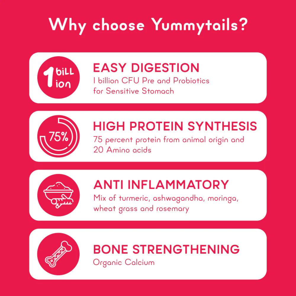 Yummytails Chicken and Fish Premium Adult Medium and Large Dog Dry Food - Image 6