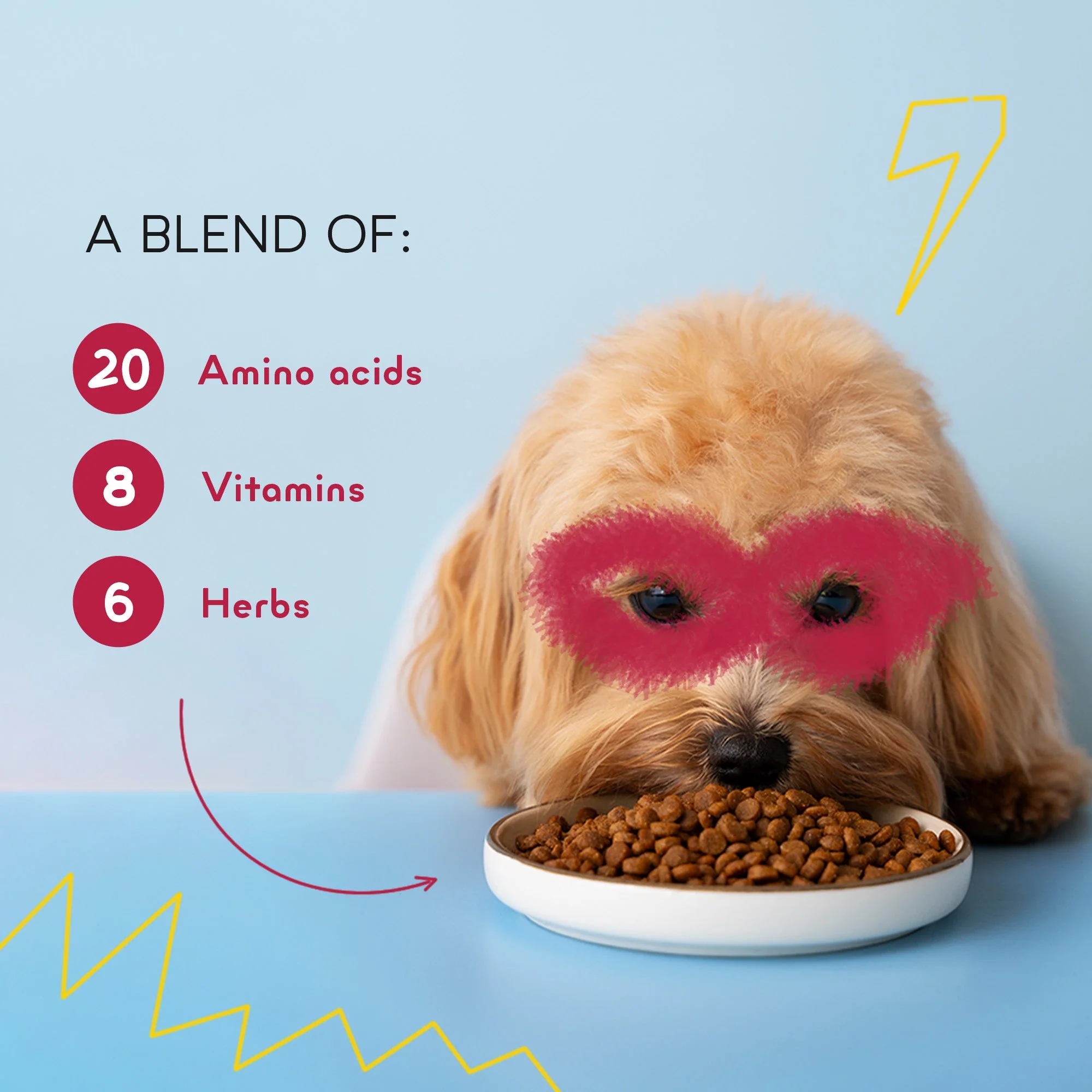 Yummytails Chicken and Fish Premium Adult Medium and Large Dog Dry Food - Image 9