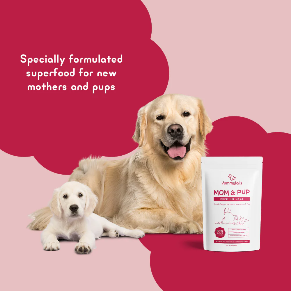 Yummytails Super Premium Mother and Puppy Dry Food | Chicken & Fish Flavor | Corn and Soya Free Formula - Image 11
