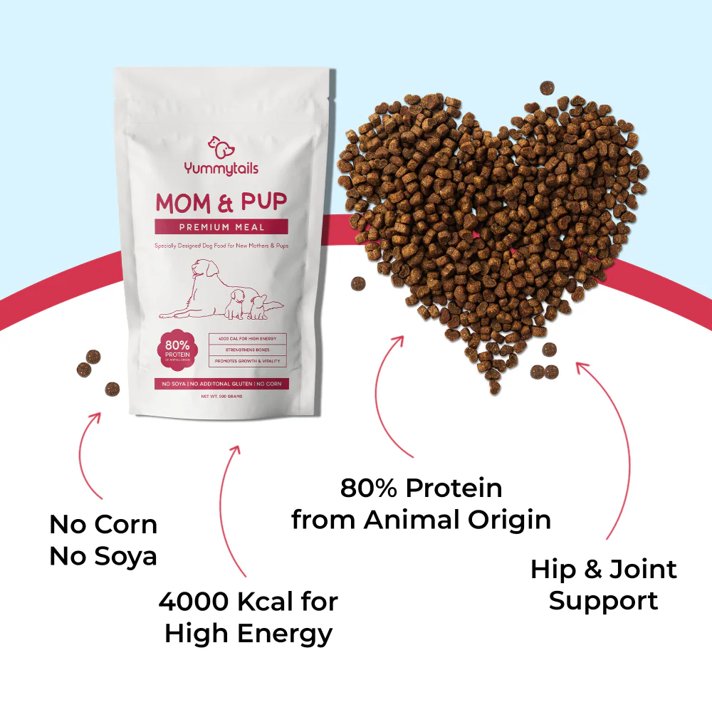 Yummytails Super Premium Mother and Puppy Dry Food | Chicken & Fish Flavor | Corn and Soya Free Formula - Image 5
