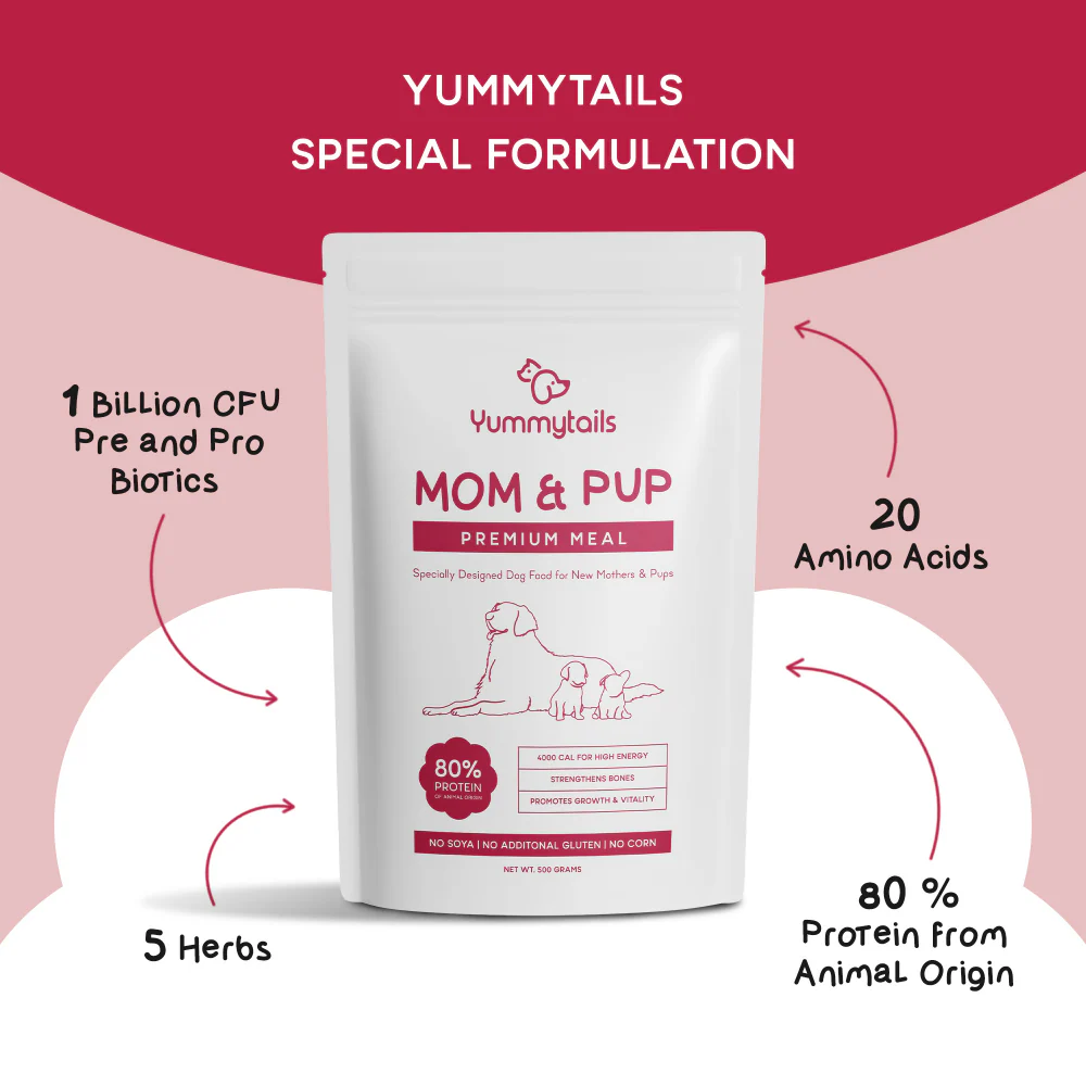 Yummytails Super Premium Mother and Puppy Dry Food | Chicken & Fish Flavor | Corn and Soya Free Formula - Image 8