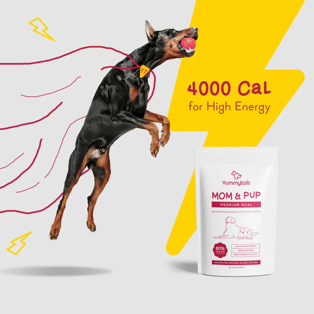 Yummytails Super Premium Mother and Puppy Dry Food | Chicken & Fish Flavor | Corn and Soya Free Formula - Image 10