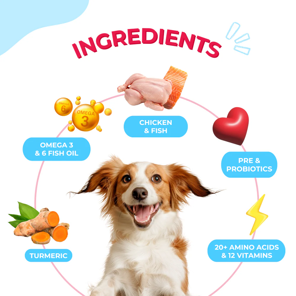 Yummytails Super Premium Mother and Puppy Dry Food | Chicken & Fish Flavor | Corn and Soya Free Formula - Image 3