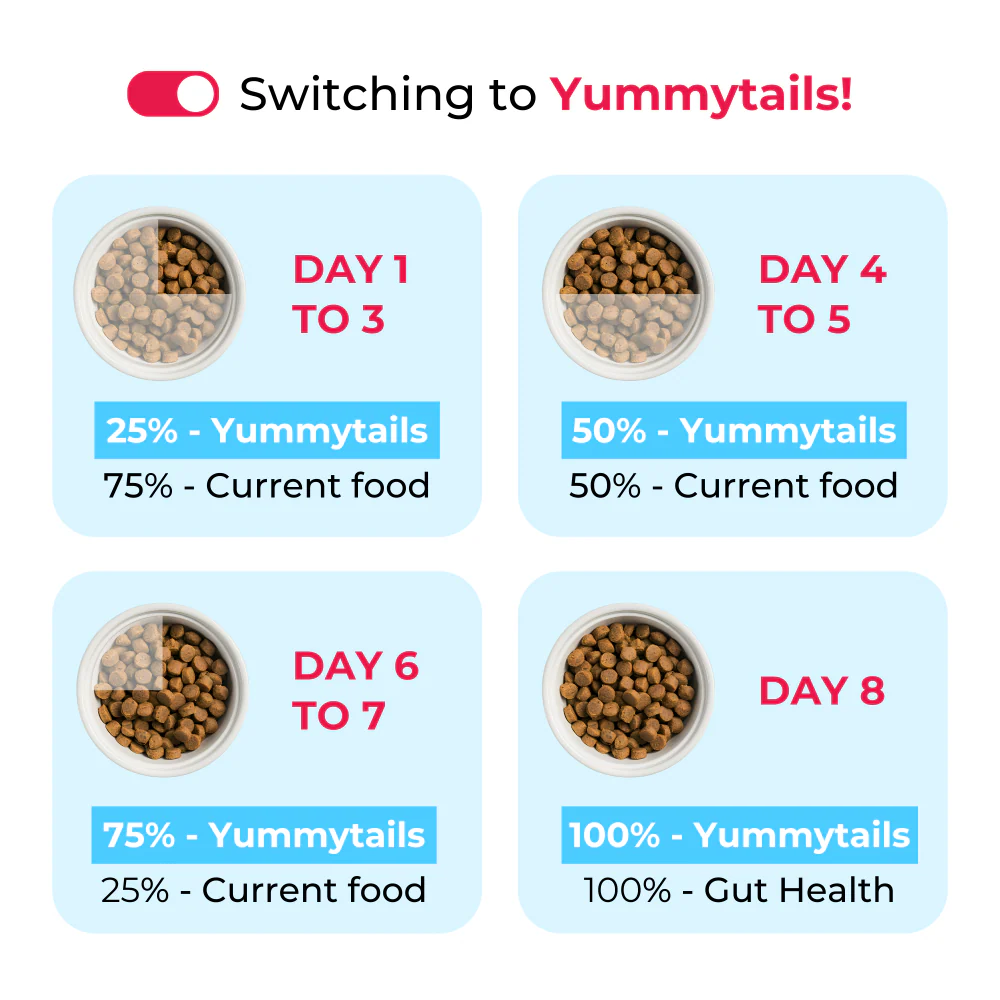 Yummytails Super Premium Mother and Puppy Dry Food | Chicken & Fish Flavor | Corn and Soya Free Formula - Image 4