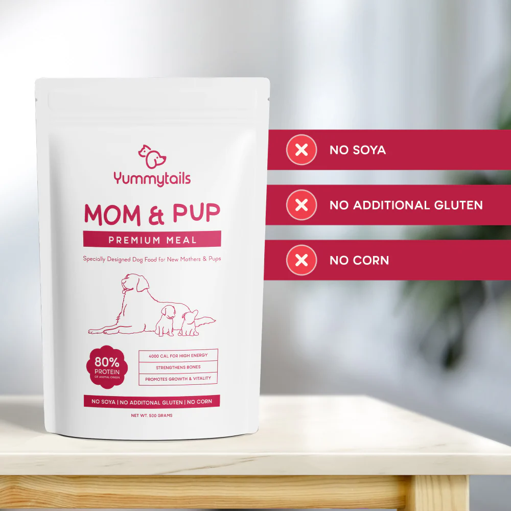 Yummytails Super Premium Mother and Puppy Dry Food | Chicken & Fish Flavor | Corn and Soya Free Formula - Image 7