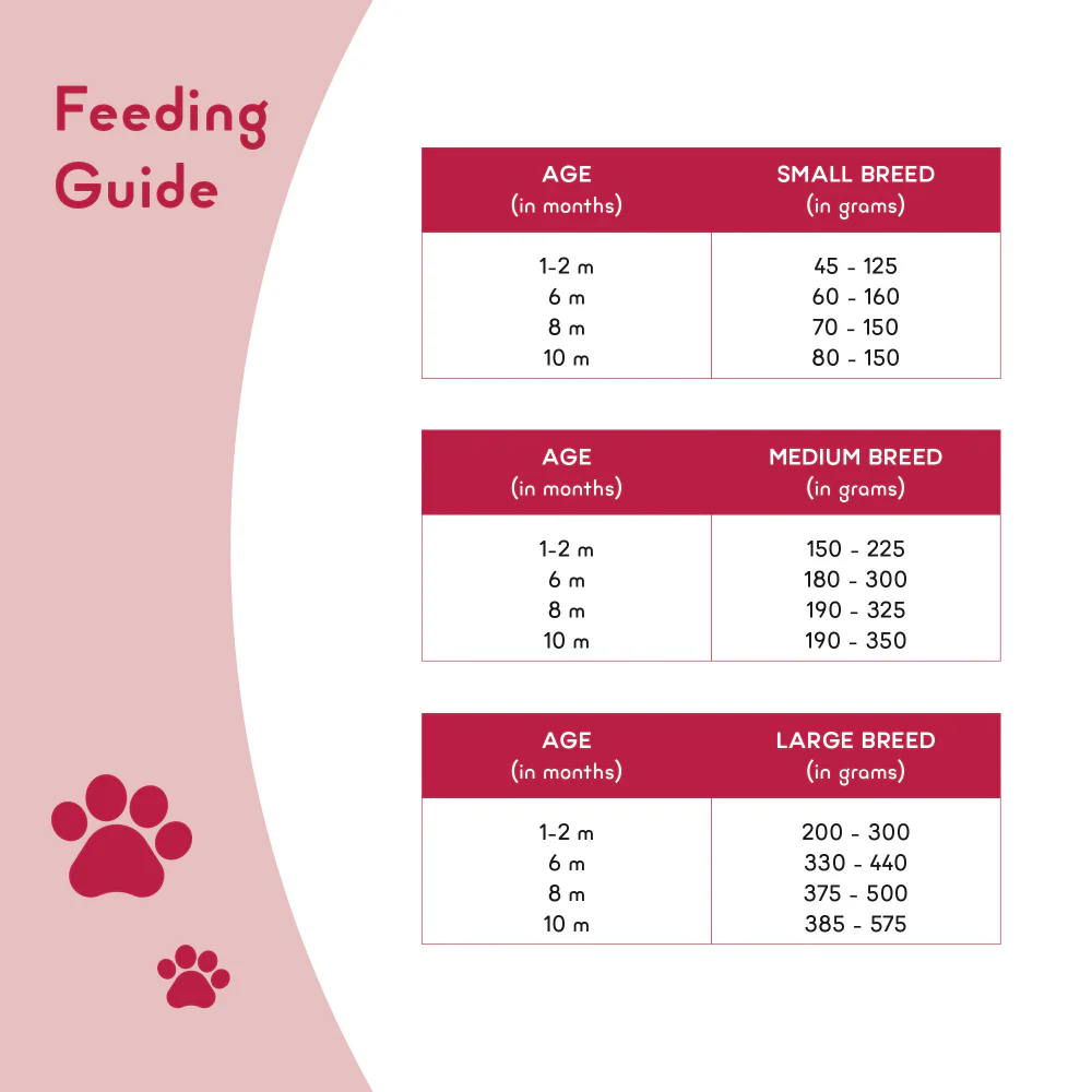 Yummytails Super Premium Mother and Puppy Dry Food | Chicken & Fish Flavor | Corn and Soya Free Formula - Image 8