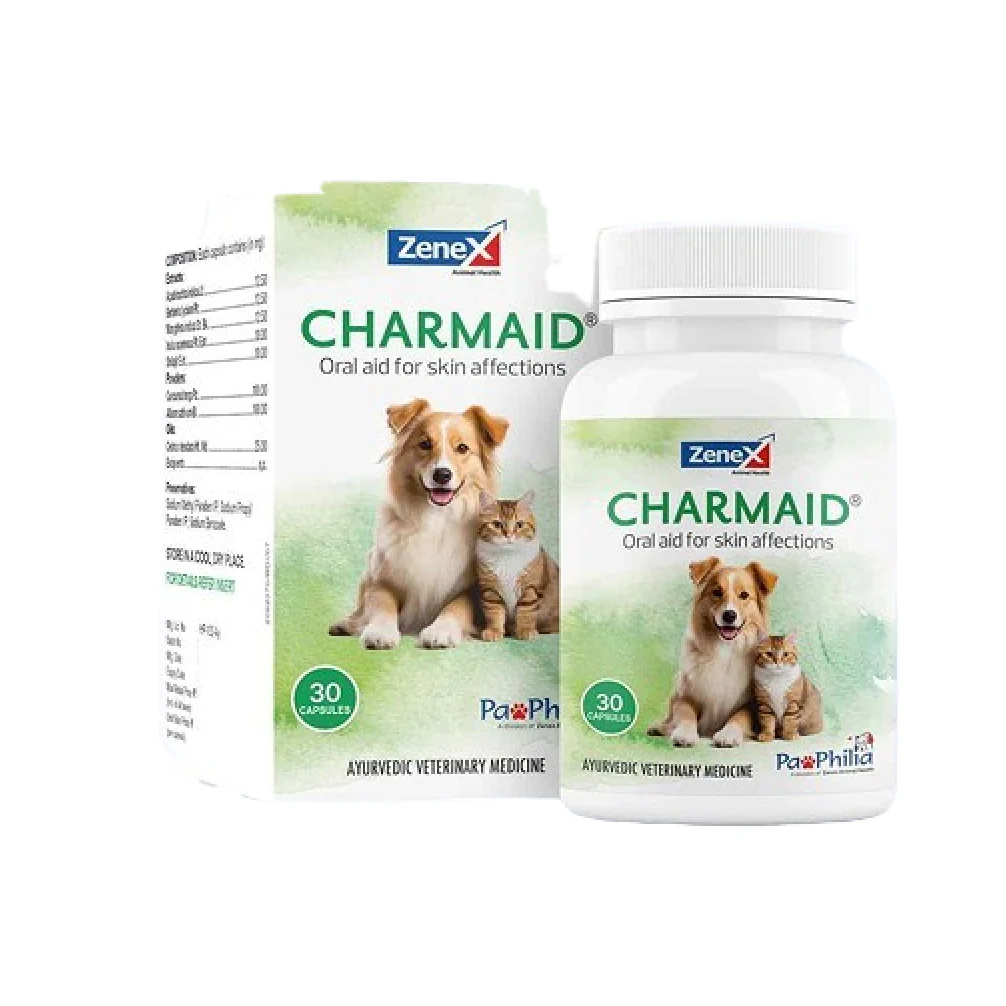 Zenex Charmaid Oral Aid for Skin Infection for Dogs and Cats - Image 2