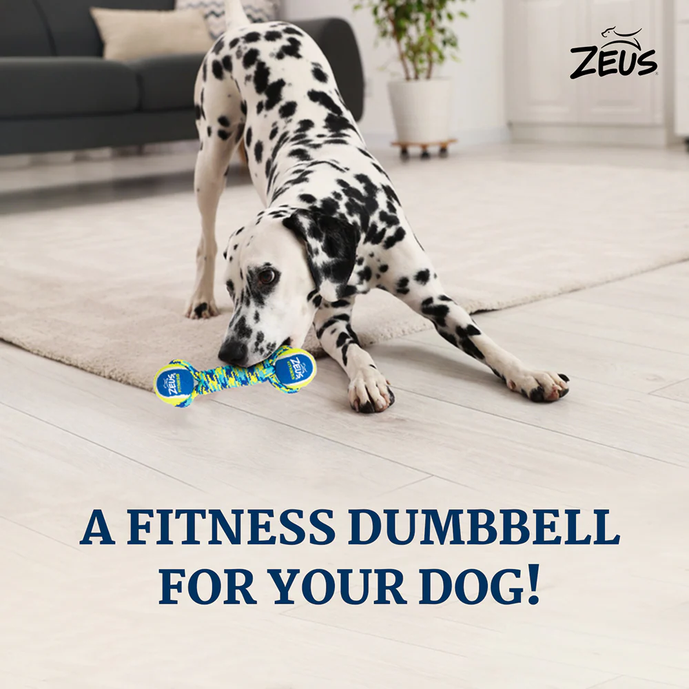 Zeus Double Tennis Ball Rope Dumbbell Toy for Dogs (Blue) - Image 3