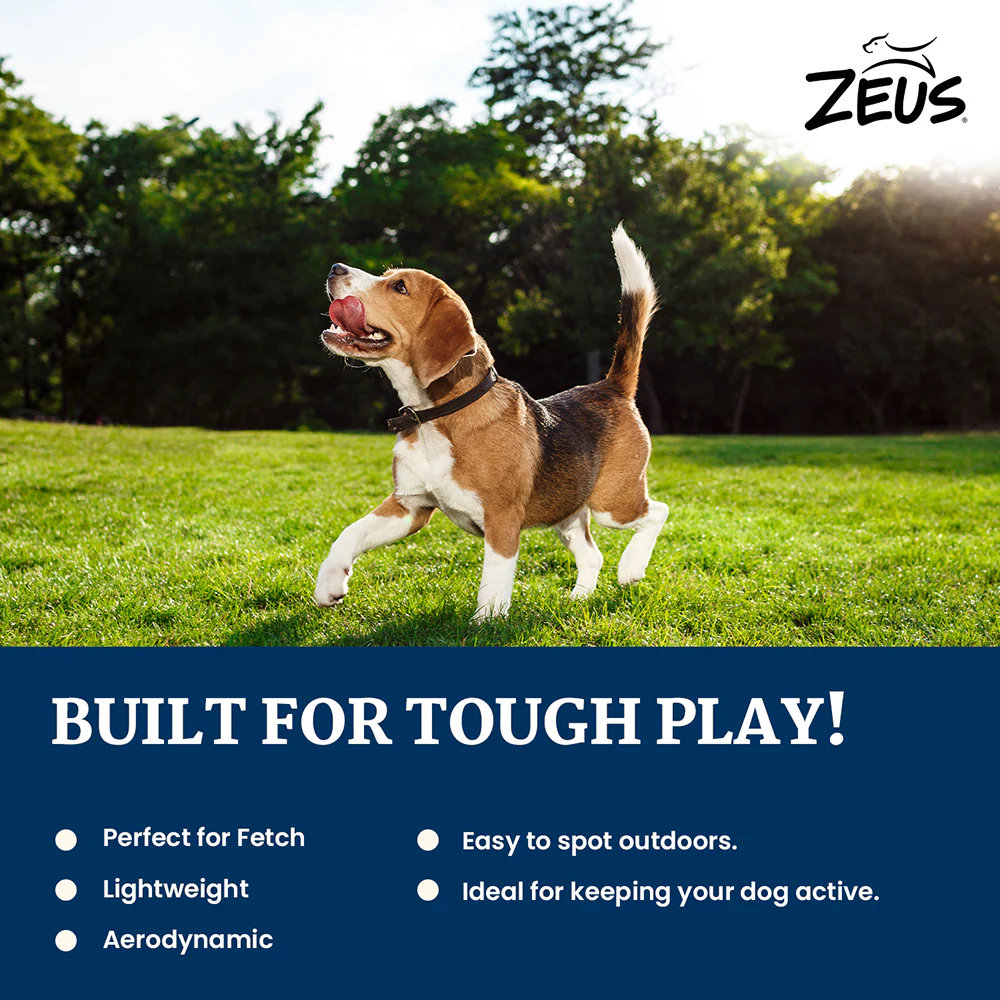 Zeus Double Tennis Ball Rope Dumbbell Toy for Dogs (Blue) - Image 4