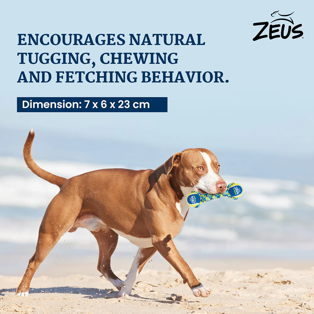 Zeus Double Tennis Ball Rope Dumbbell Toy for Dogs (Blue) - Image 5