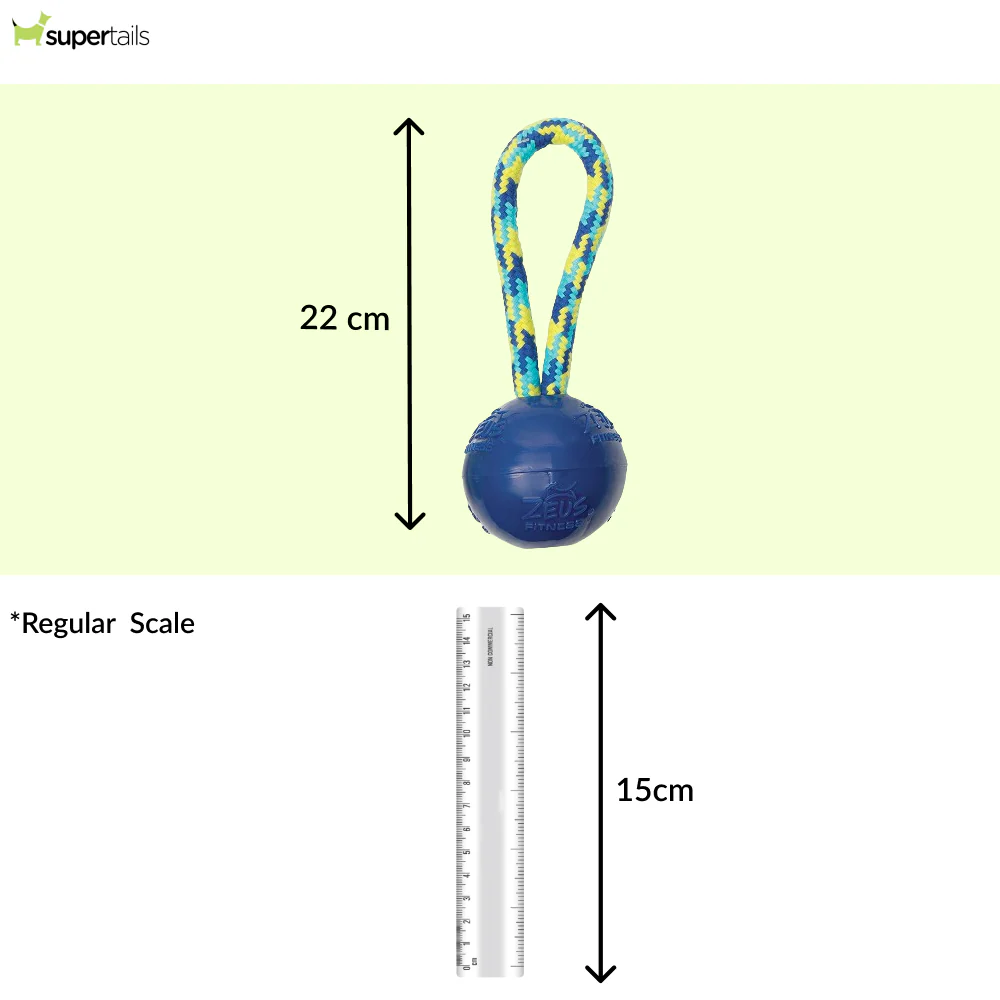 Zeus Rope Ball Tug with Single Hand Loops Toy for Dogs (Blue) - Image 2