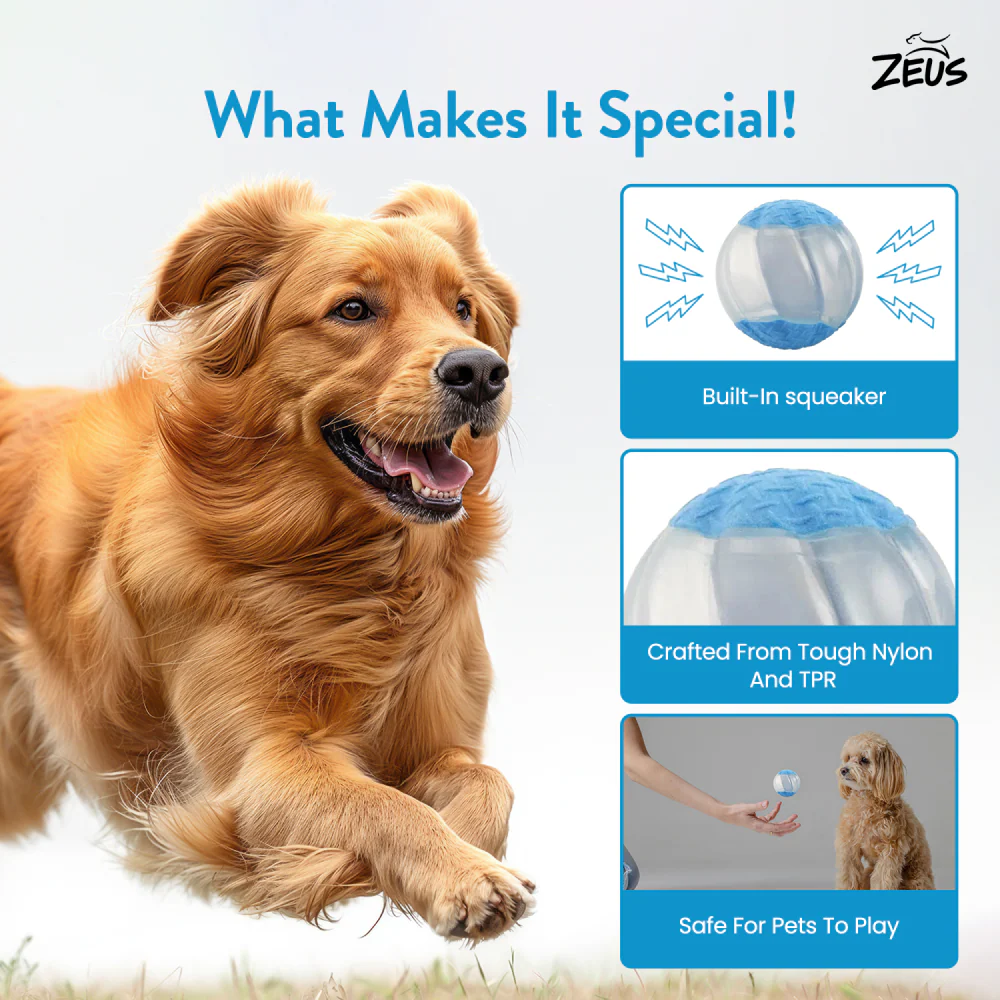 Zeus Squeaker & Glow DUO Ball for Dogs (Blue) - Image 3