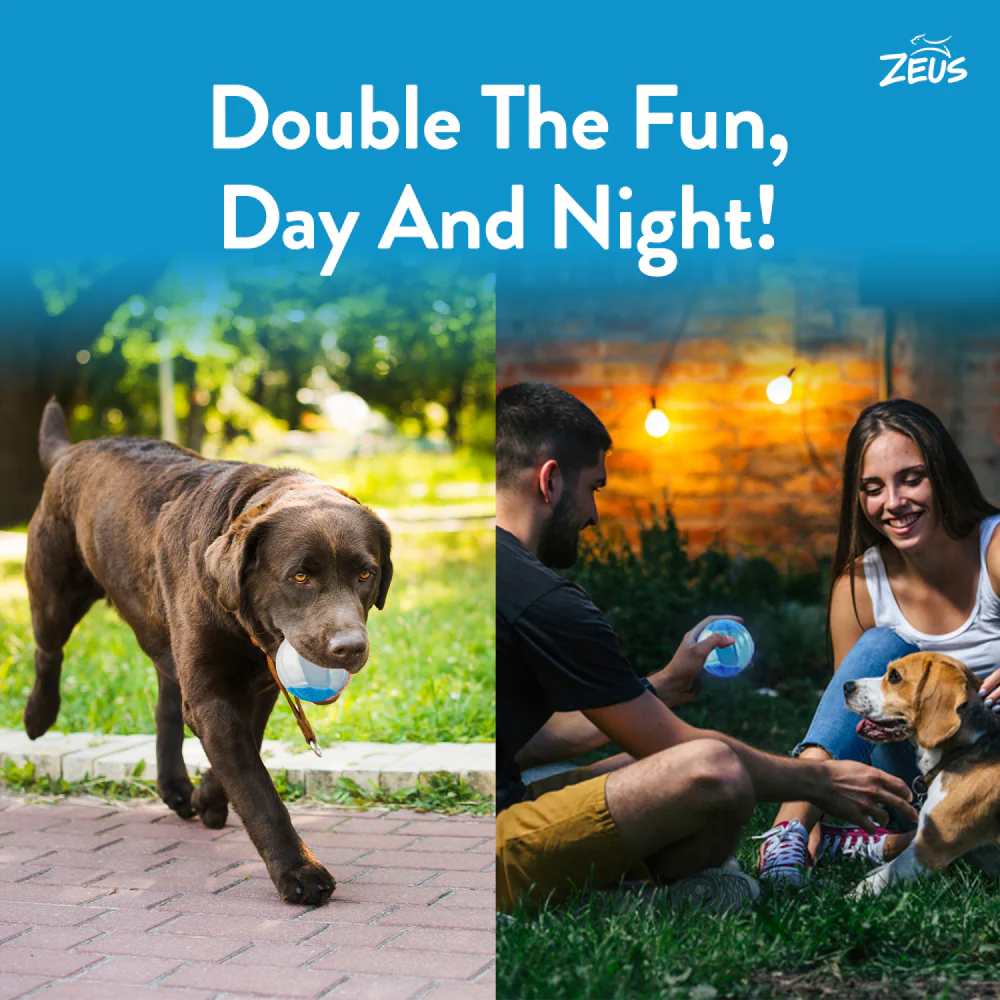 Zeus Squeaker & Glow DUO Ball for Dogs (Blue) - Image 4