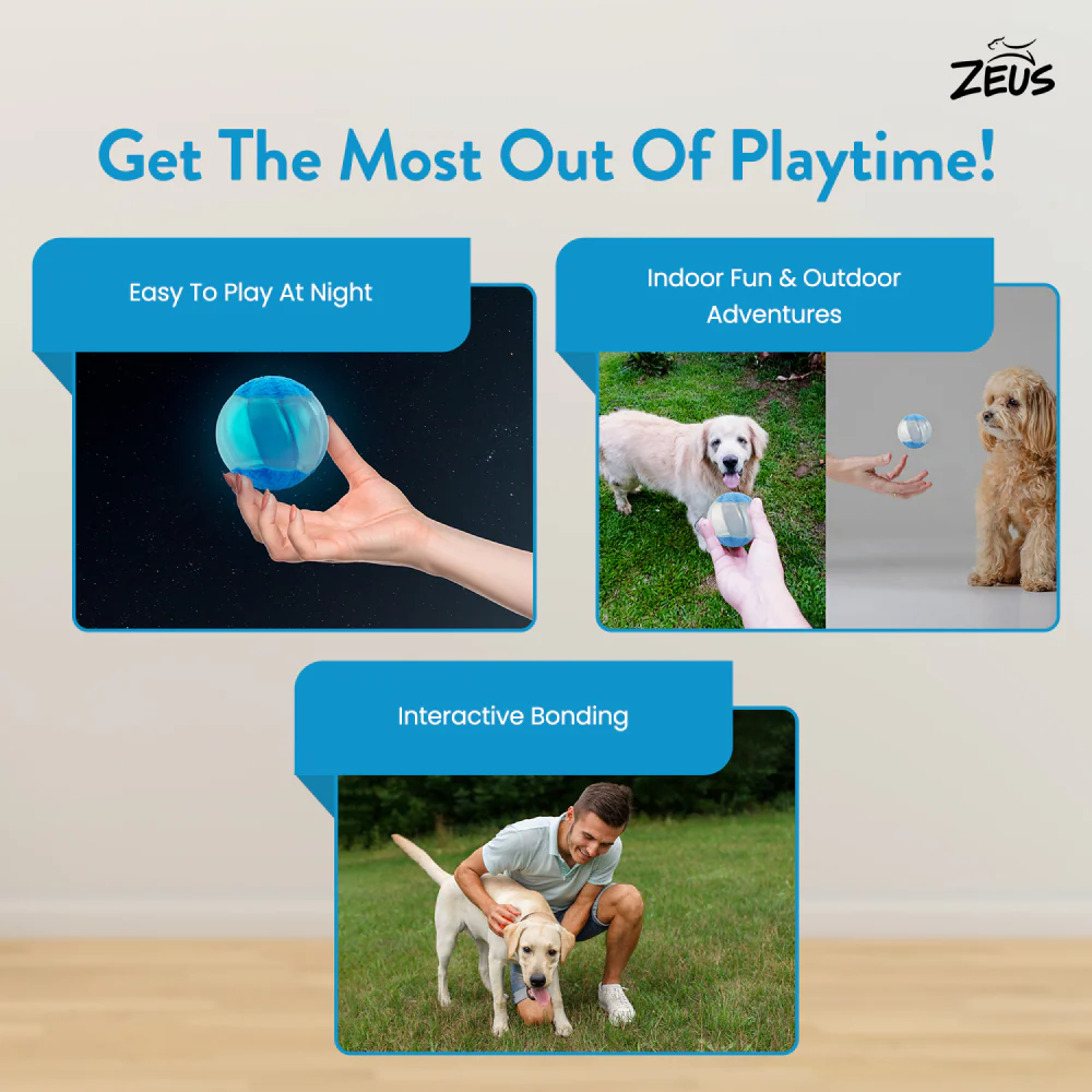 Zeus Squeaker & Glow DUO Ball for Dogs (Blue) - Image 6