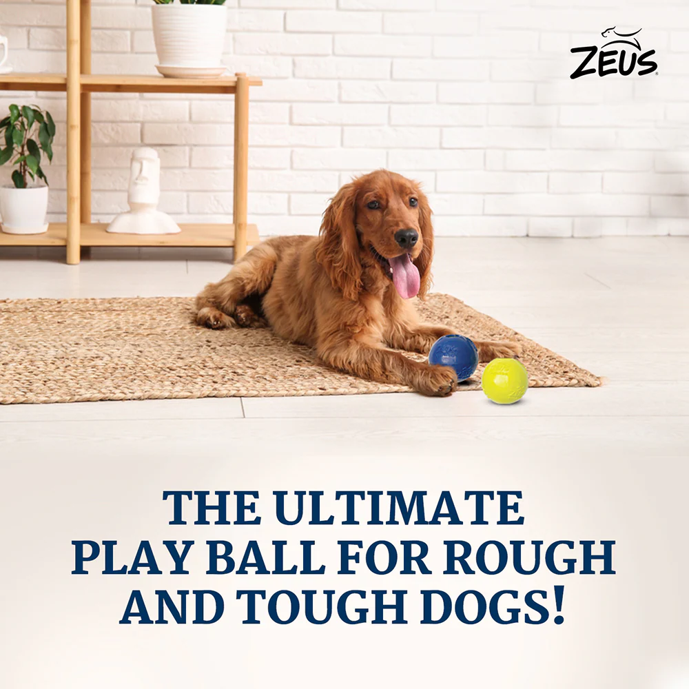 Zeus Tpr Encased Tennis Ball Toy for Dogs (Blue & Yellow) - Image 3