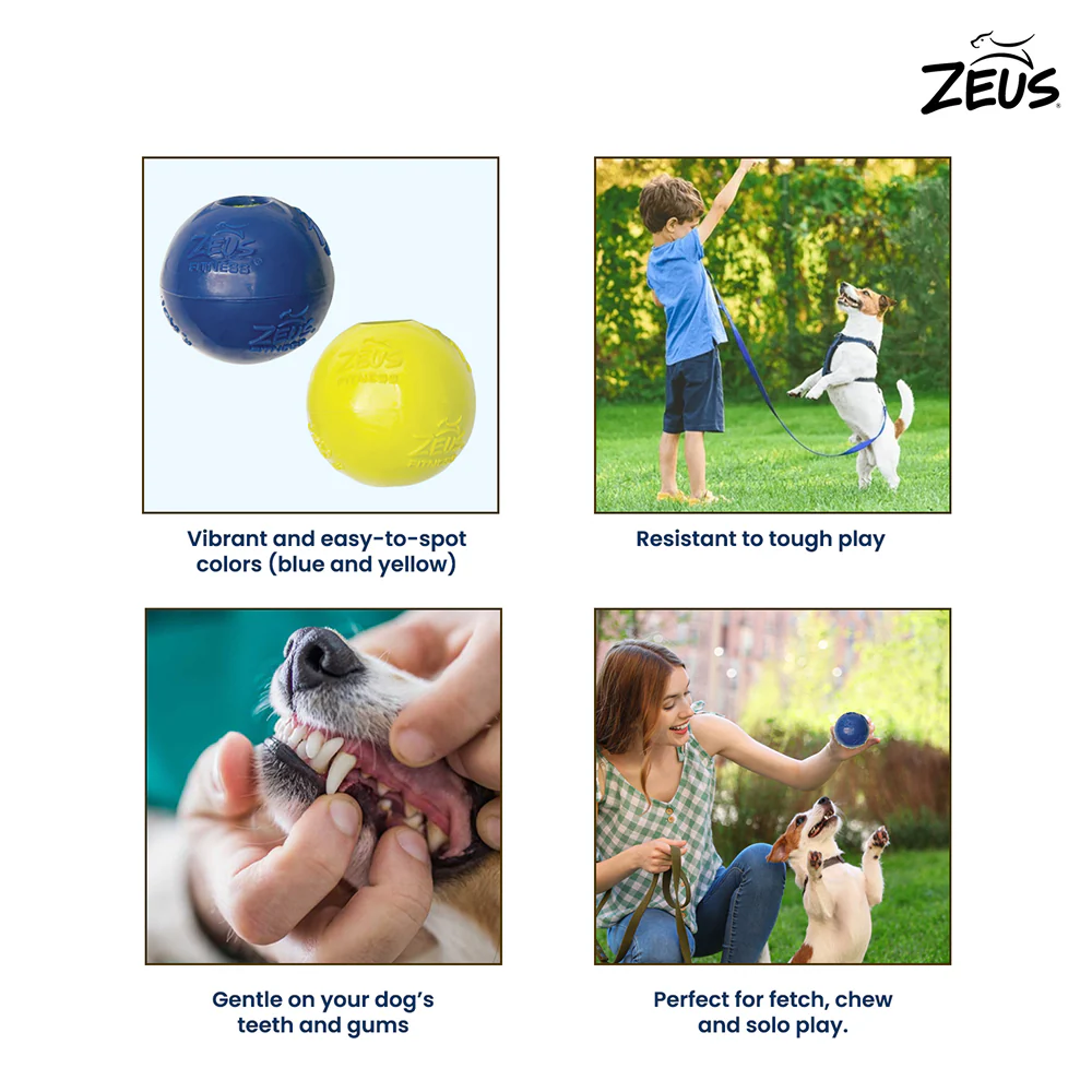 Zeus Tpr Encased Tennis Ball Toy for Dogs (Blue & Yellow) - Image 4
