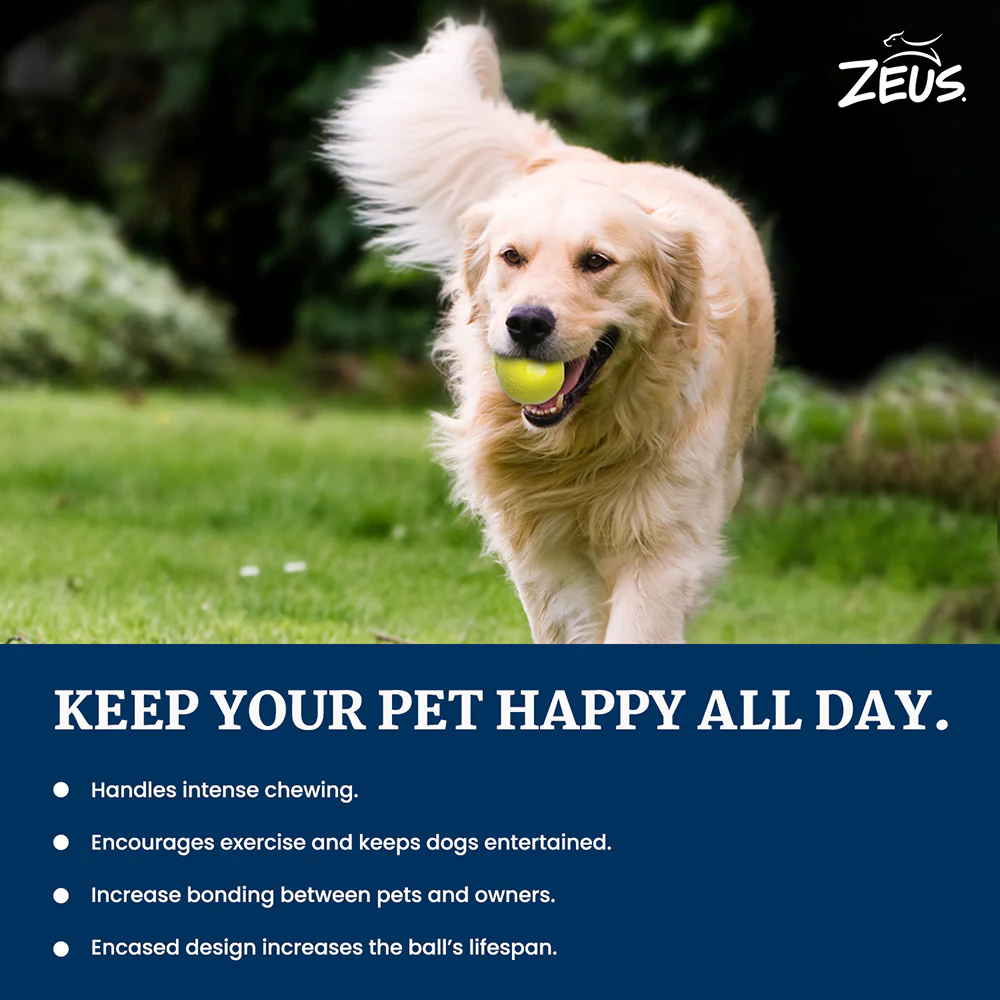 Zeus Tpr Encased Tennis Ball Toy for Dogs (Blue & Yellow) - Image 5
