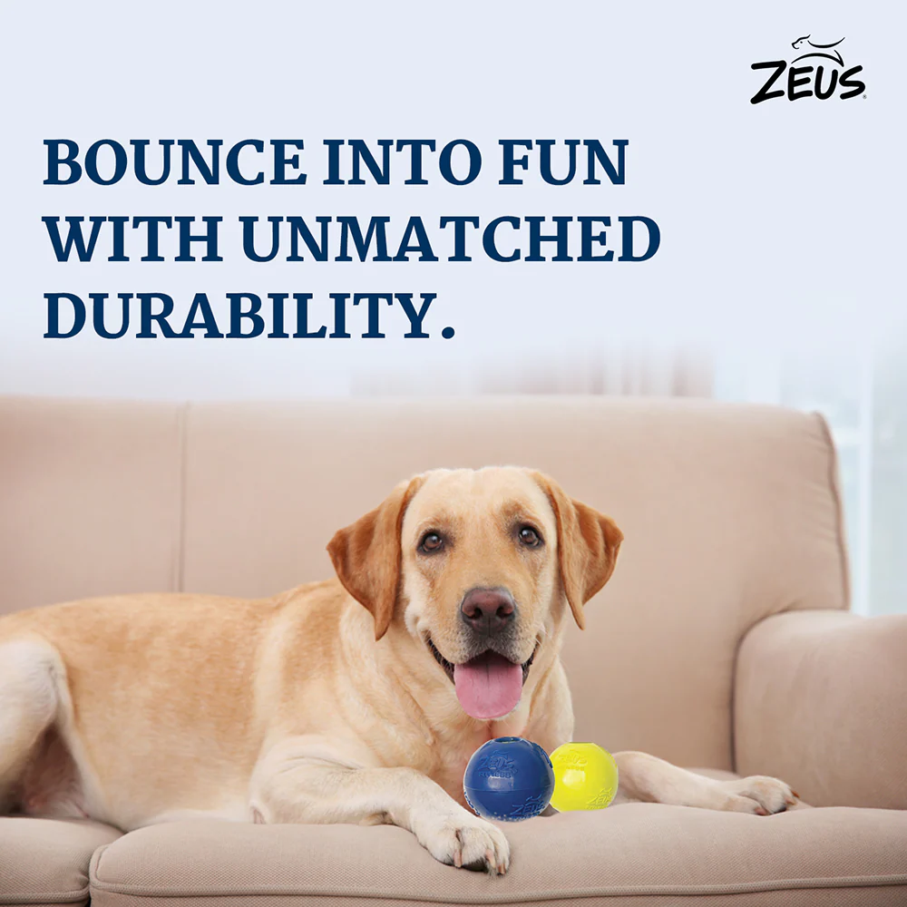 Zeus Tpr Encased Tennis Ball Toy for Dogs (Blue & Yellow) - Image 7