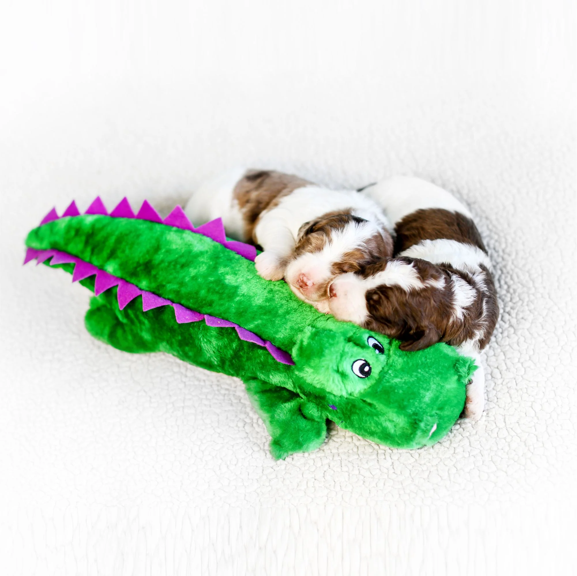 Zippy Paws Alvin the Alligator Grunterz Plush Toy for Dogs - Image 6