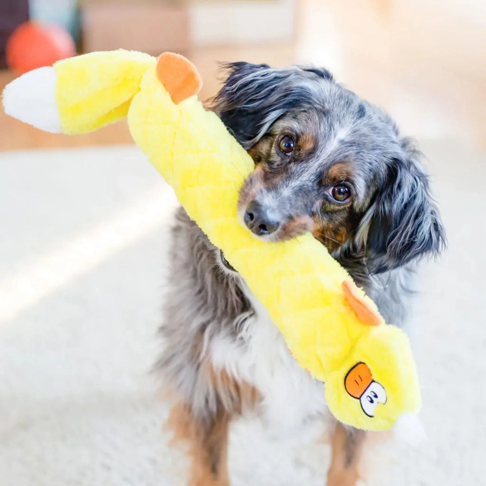 Zippy Paws Duck Jigglerz Plush Toy for Dogs - Image 7