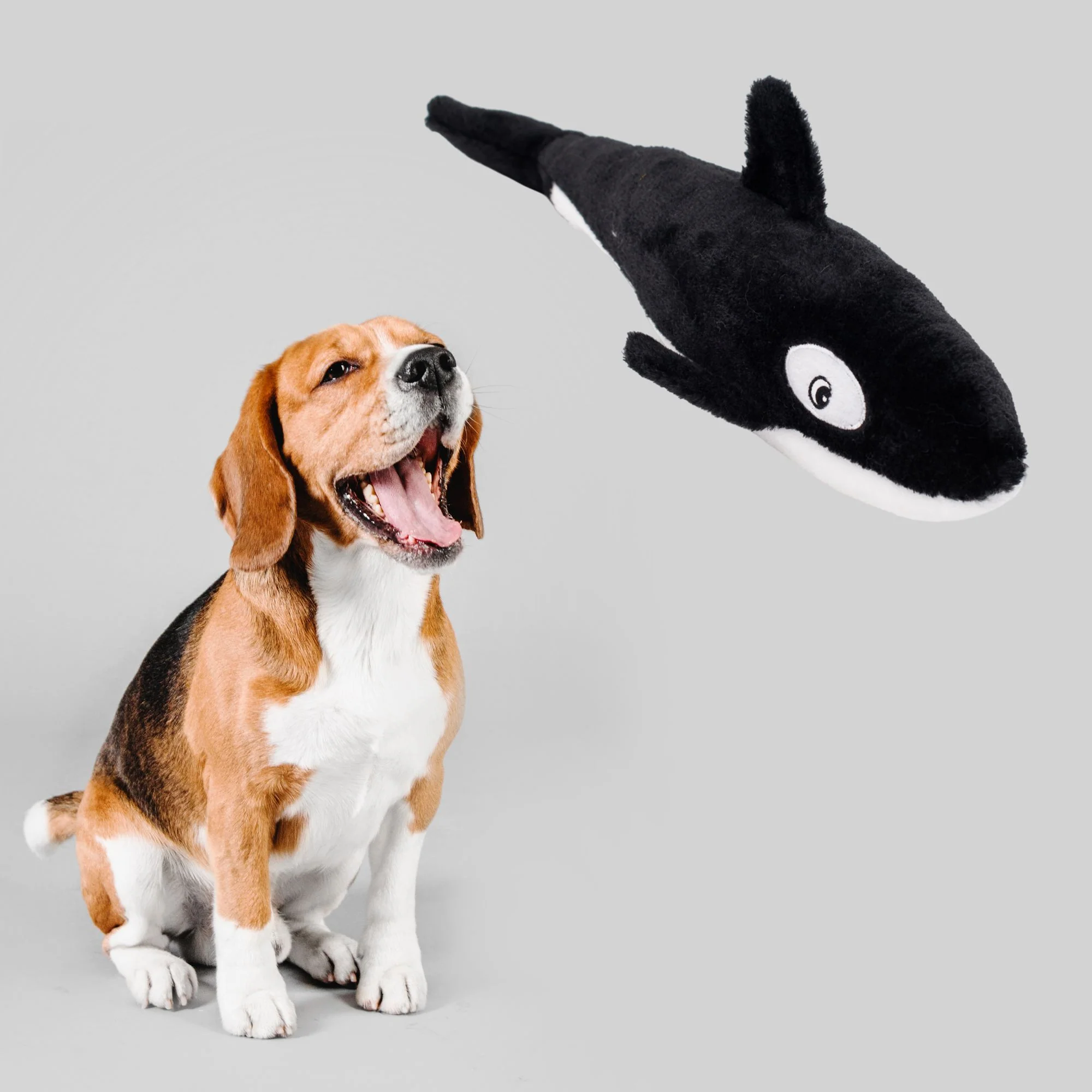 Zippy Paws Killer Whale Jigglerz Plush Toy for Dogs - Image 6