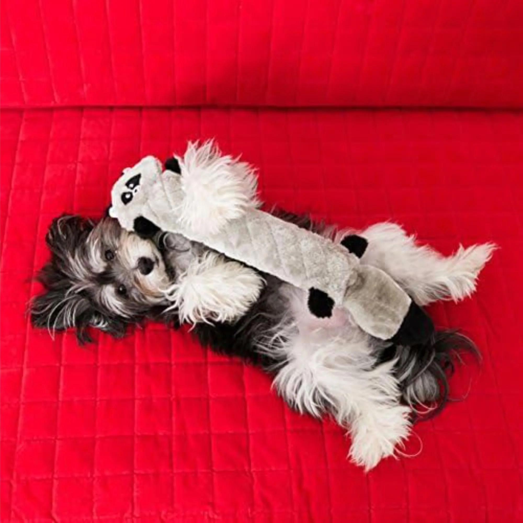 Zippy Paws Raccoon Jigglerz Plush Toy for Dogs - Image 7