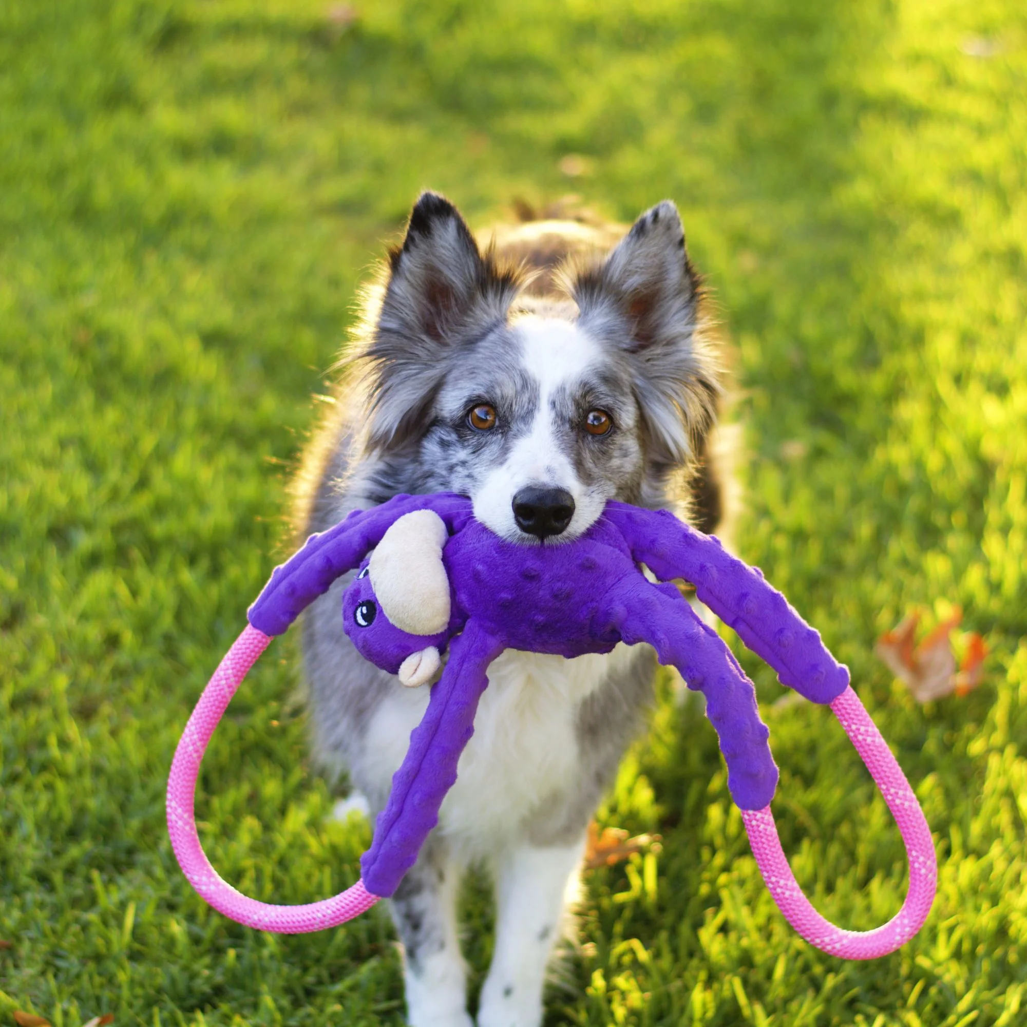 Zippy Paws RopeTugz Monkey Purple Plush Toy for Dogs - Image 6