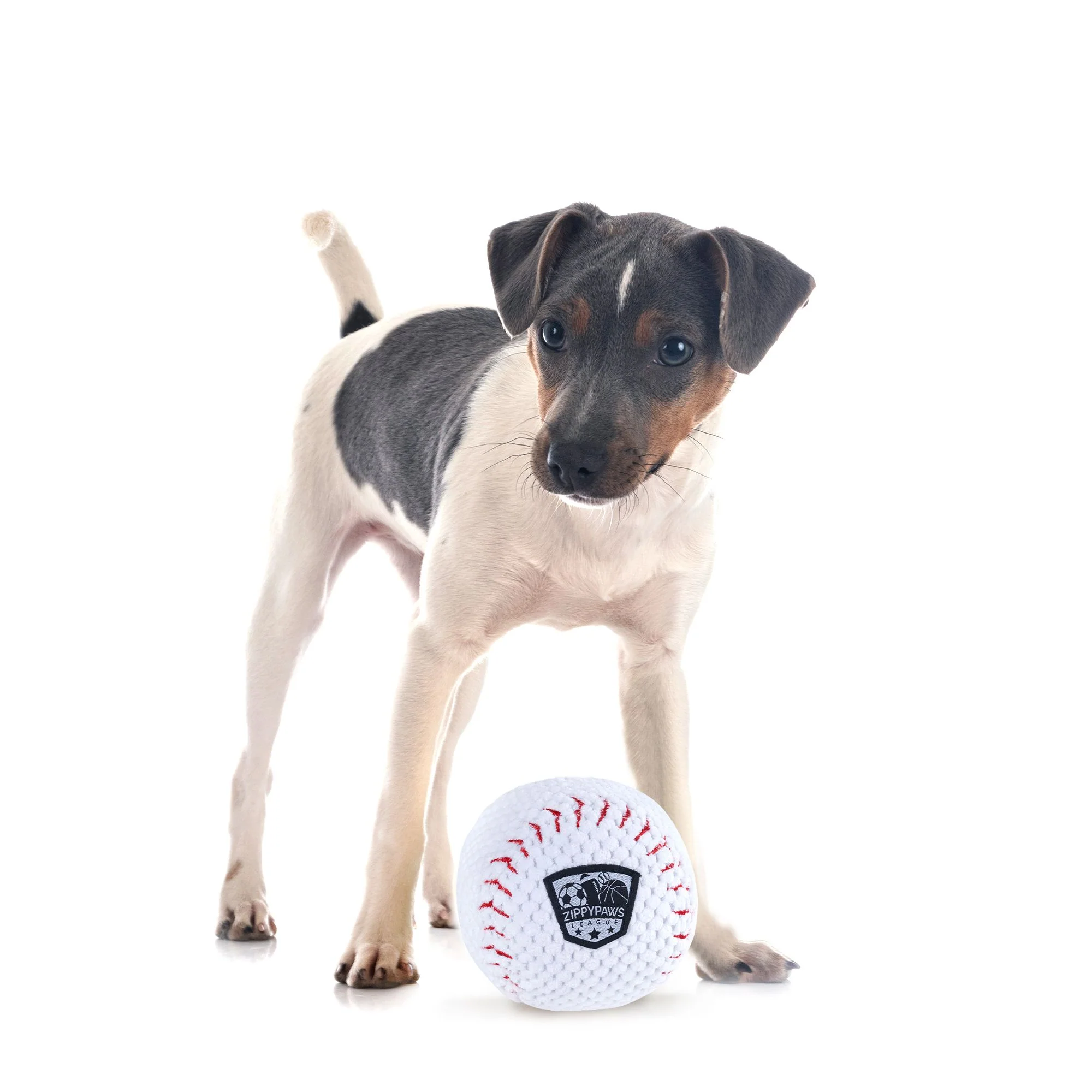 Zippy Paws SportsBallz Baseball Plush Toy for Dogs - Image 7